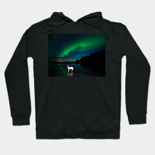 Balto and the aurora. Hoodie